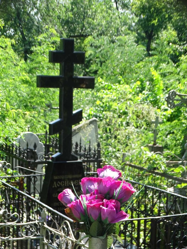IMG-e366eb2025627356ea65e179db88ef20-V